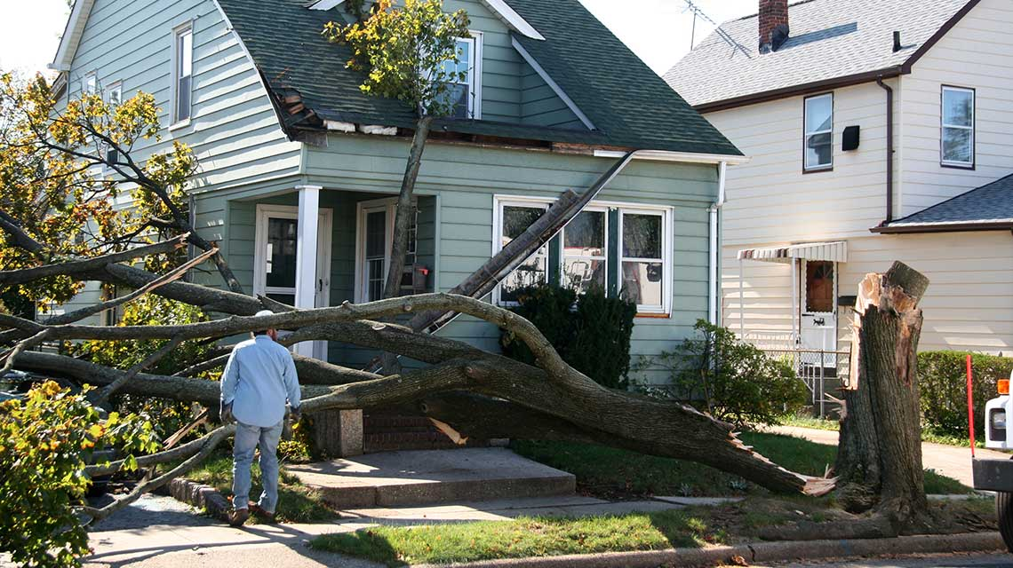 Protect Your Home From Natural Calamity