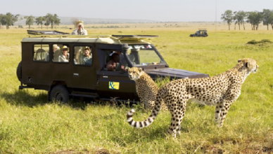 choose Africa for your next Safari Trip