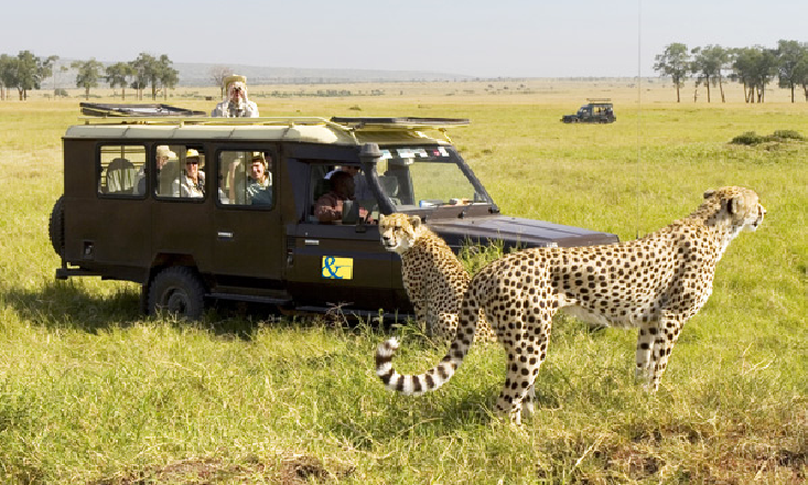 choose Africa for your next Safari Trip