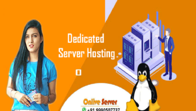 Everything You Need to Know About Dedicated Server Hosting