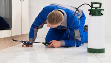 Pest Inspections